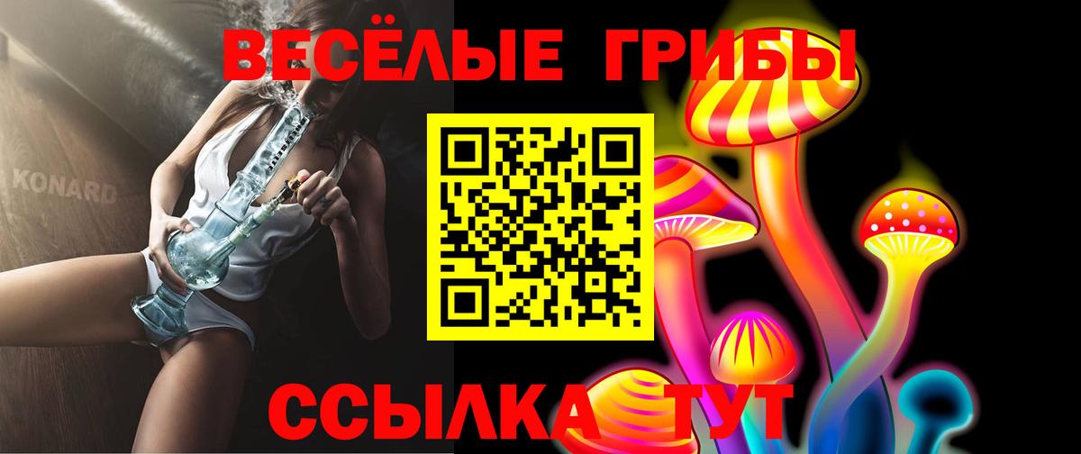 Псилоцибиновые грибы GOLDEN TEACHER  Вход с VPN  Карачаевск 